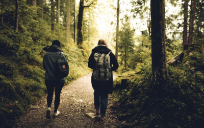 Mindful Walks for Anxiety Relief